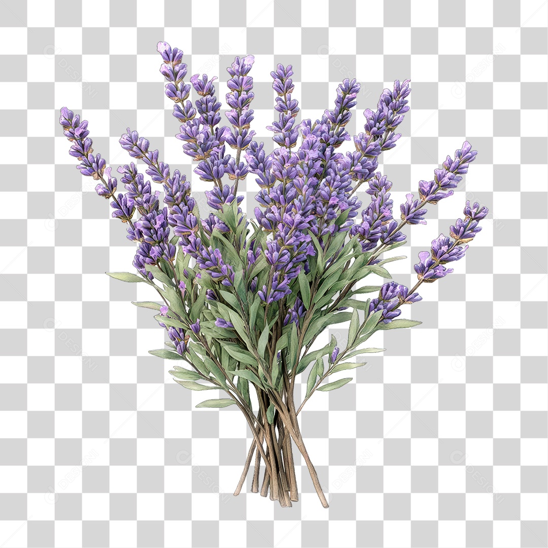 Flores de Lavanda PNG Transparente