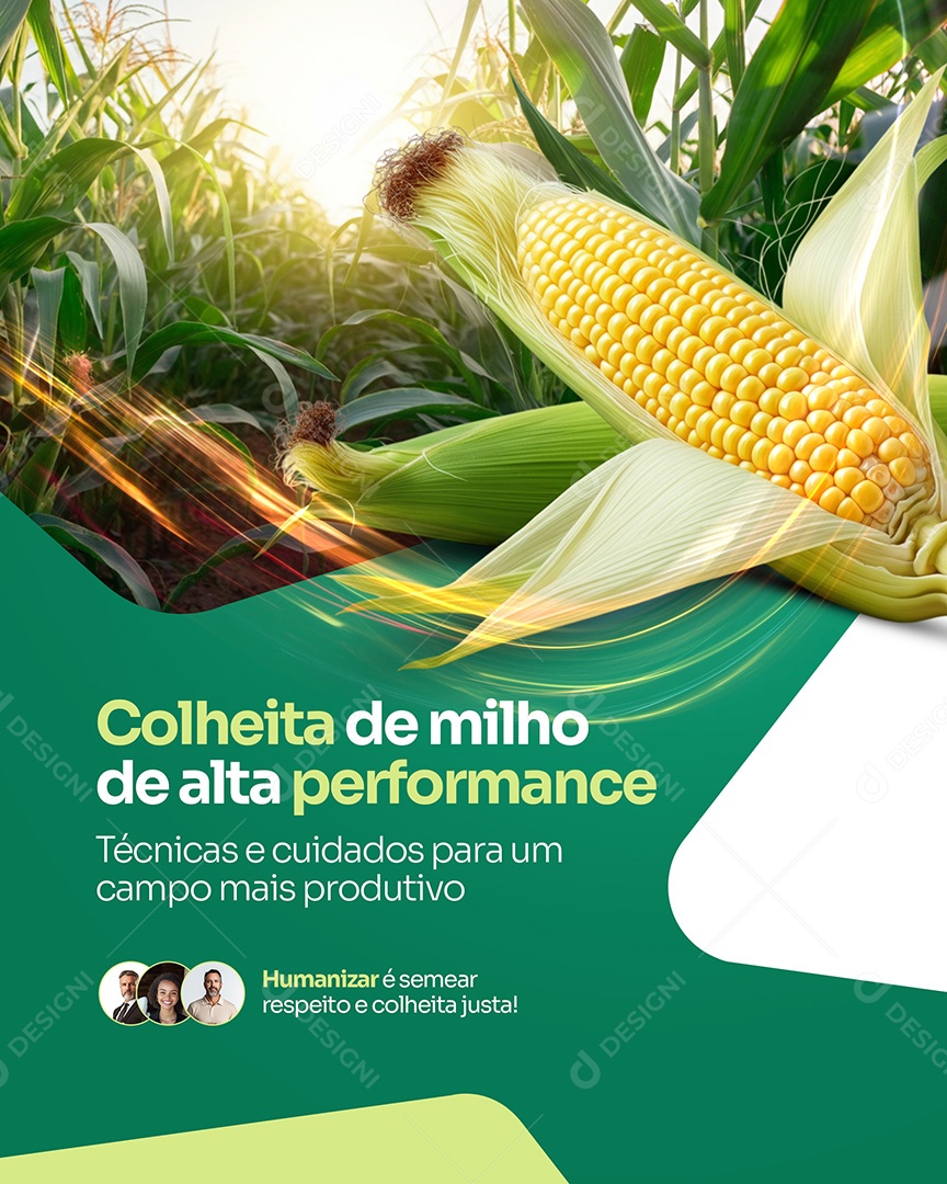 Agronegócio Consultoria Colheita de Milho Social Media PSD Editável