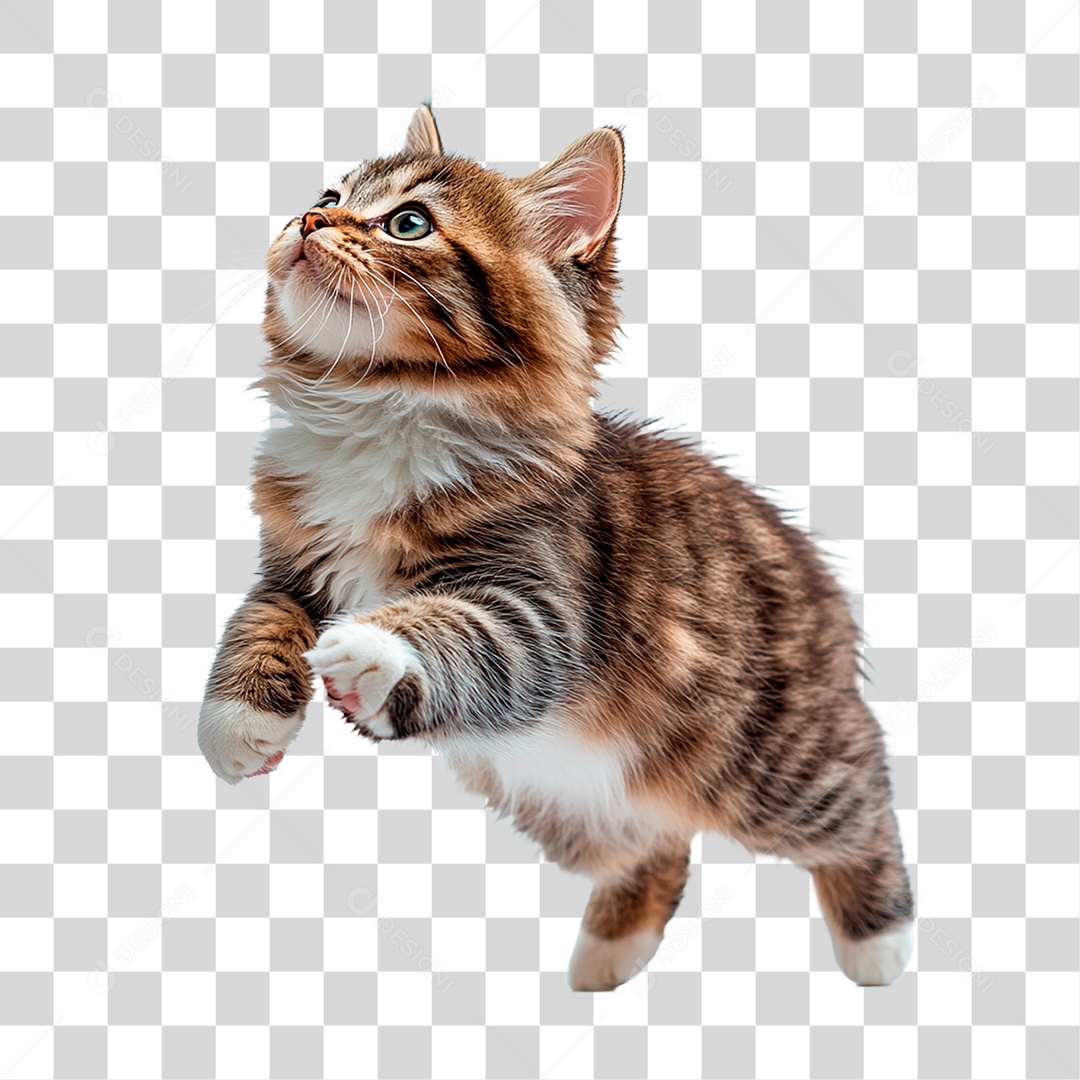 Gato Rajado PNG Transparente