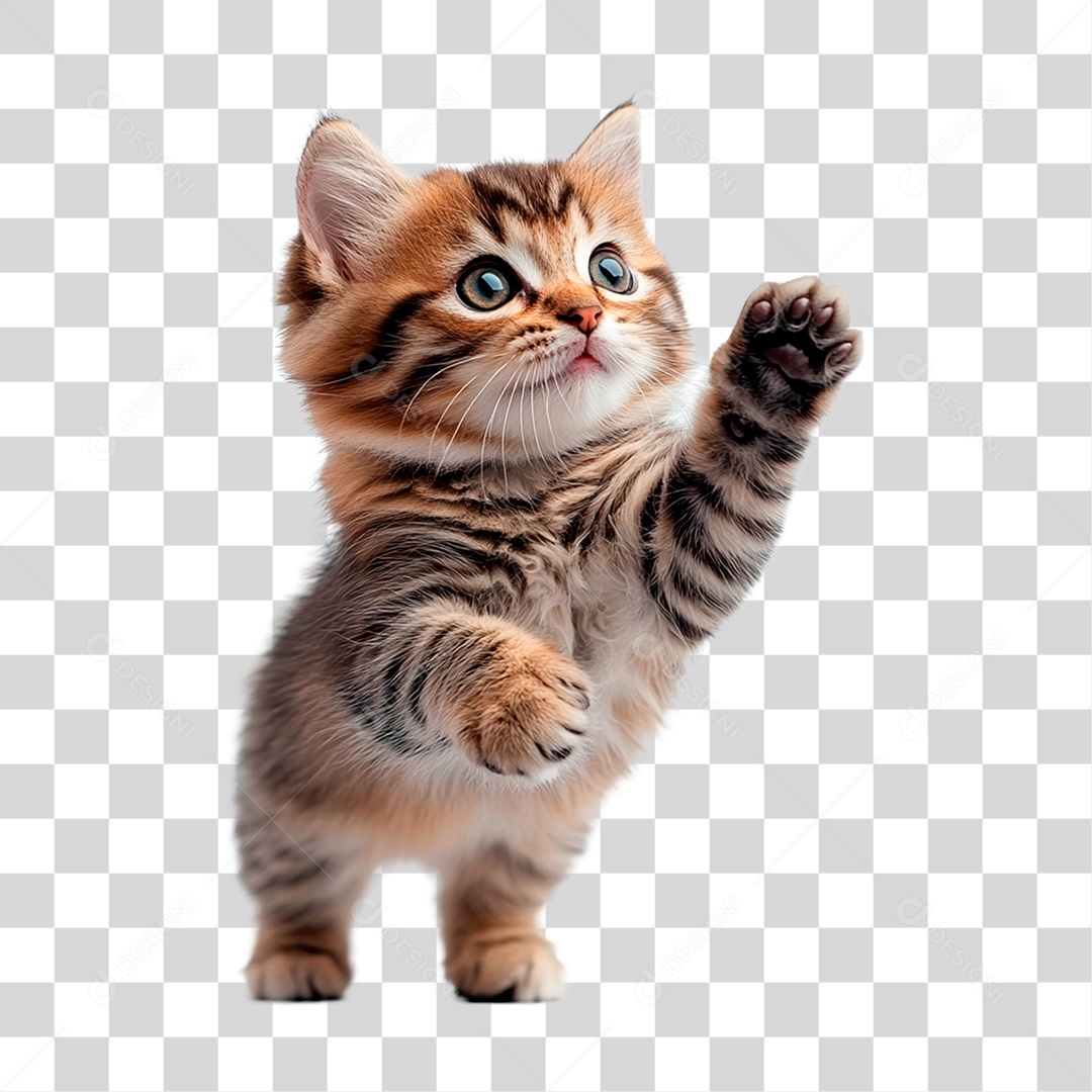 Gato Rajado PNG Transparente