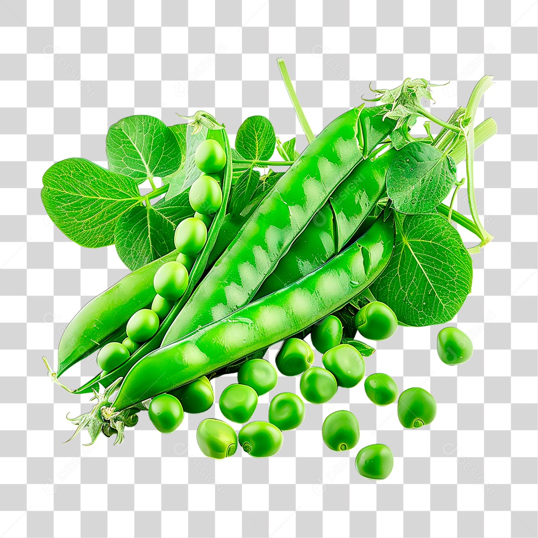 Ervilha PNG Transparente