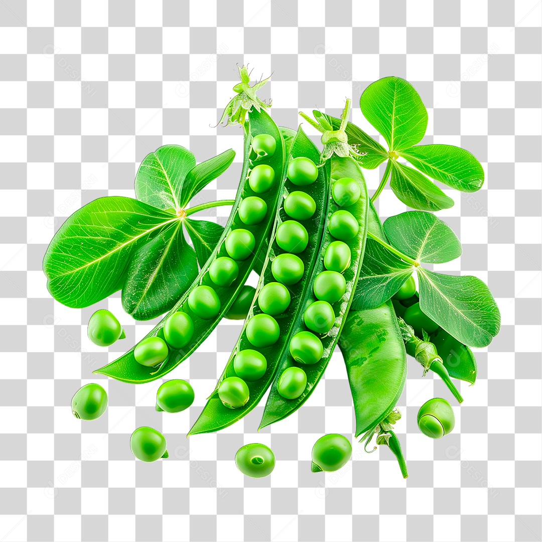 Ervilha PNG Transparente