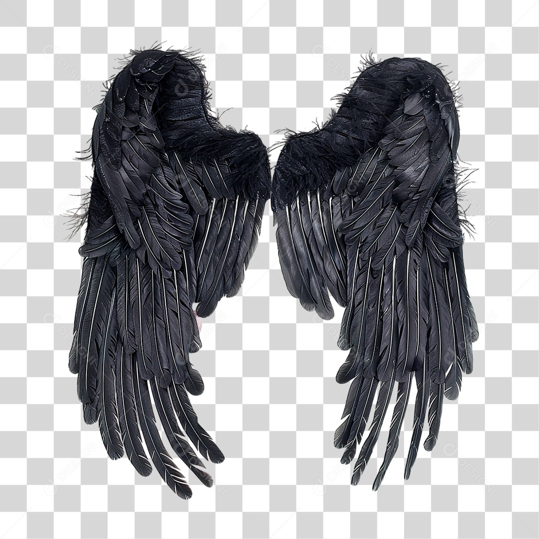 Asas Pretas PNG Transparente