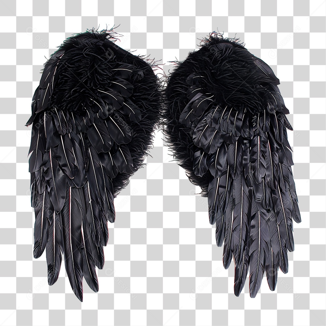 Asas Pretas PNG Transparente