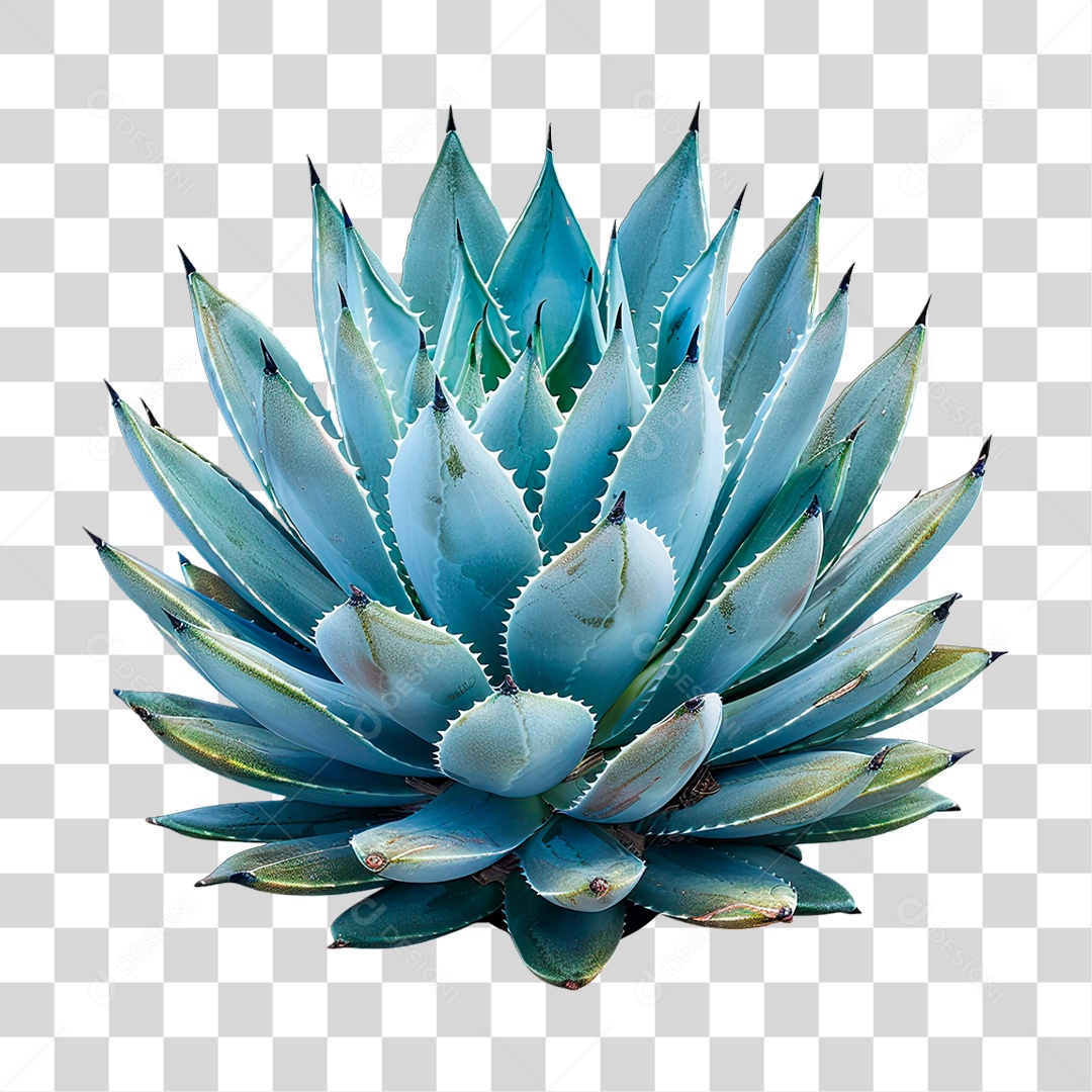 Planta Azul PNG Transparente