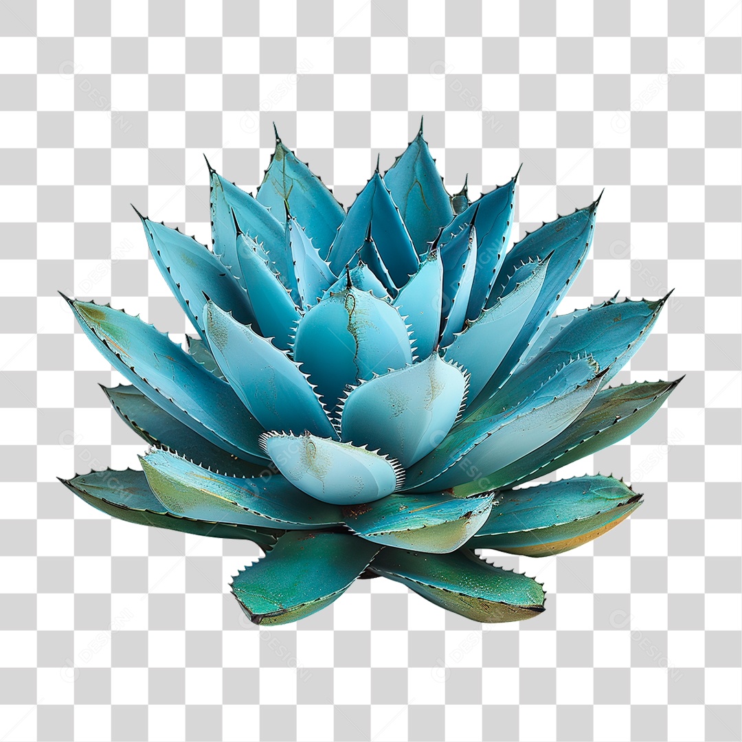 Planta Azul PNG Transparente