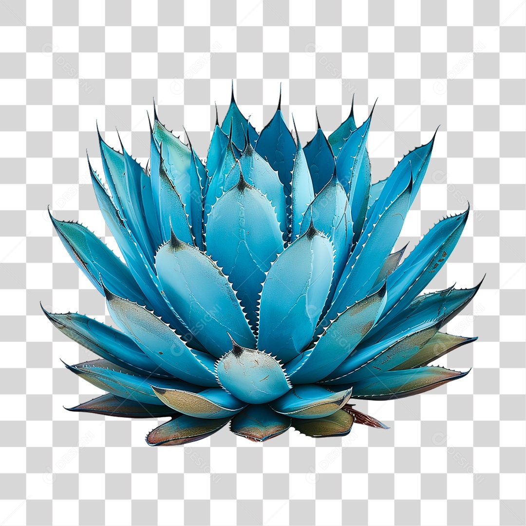 Planta Azul PNG Transparente