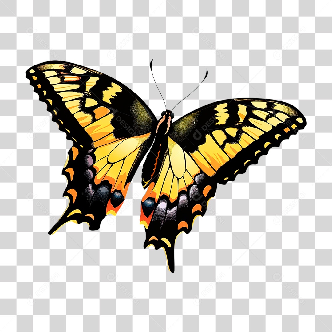 Borboleta PNG Transparente