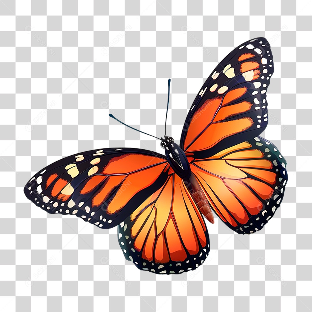Borboleta PNG Transparente