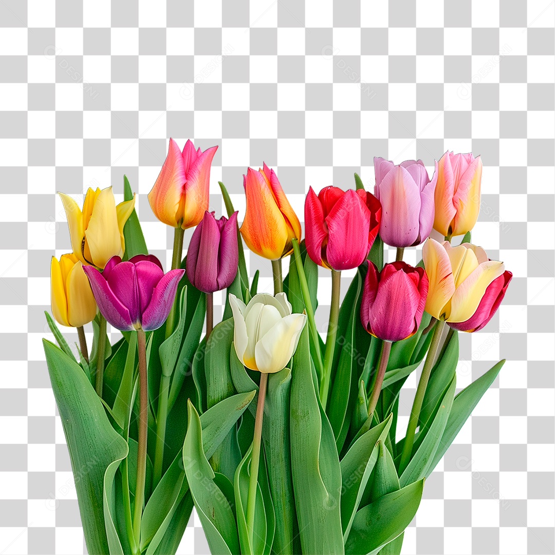 Flores PNG Transparente