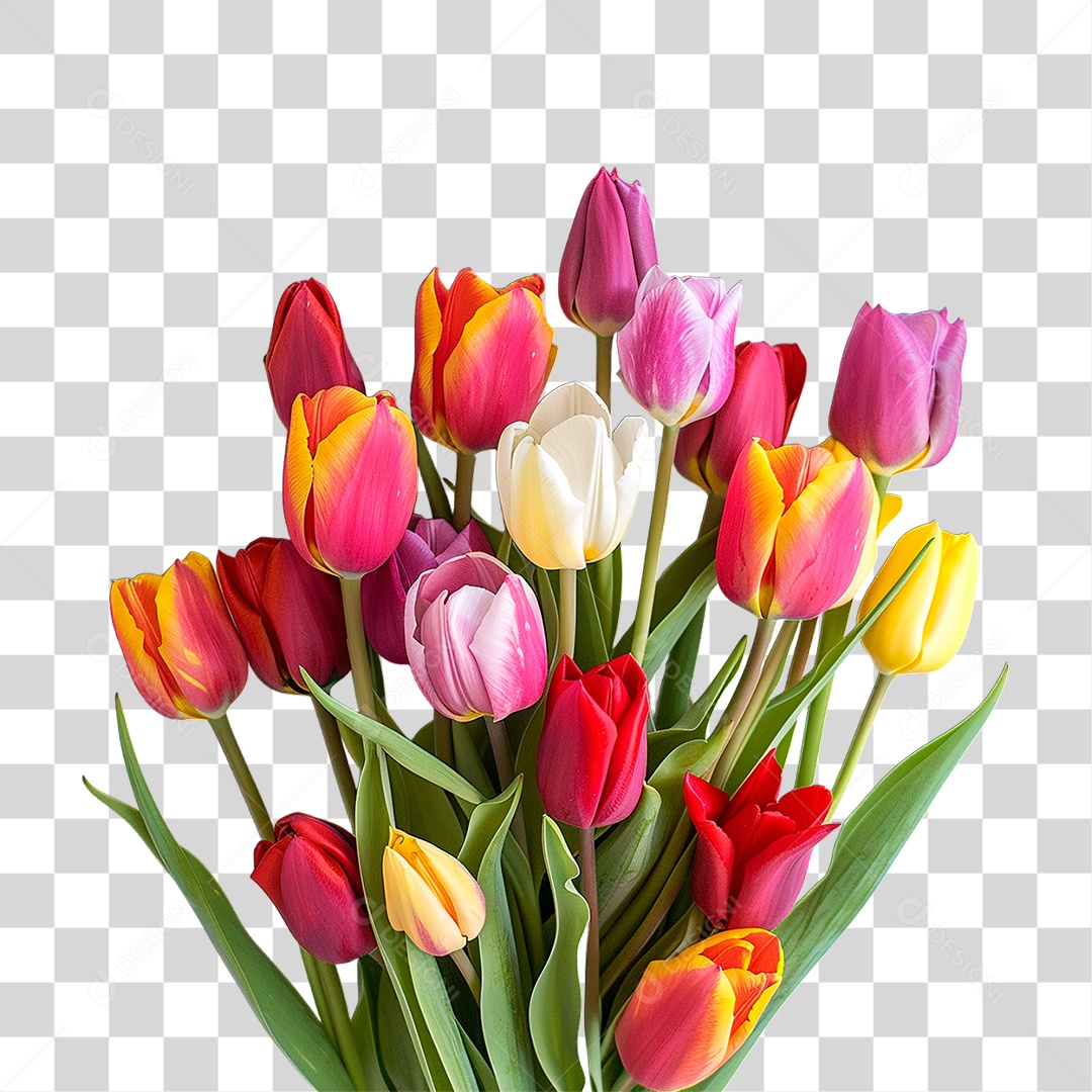 Flores PNG Transparente