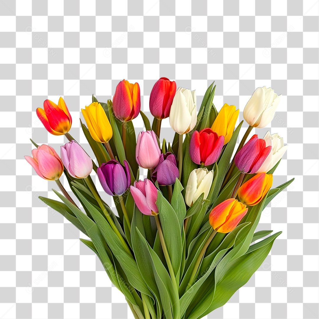 Flores PNG Transparente