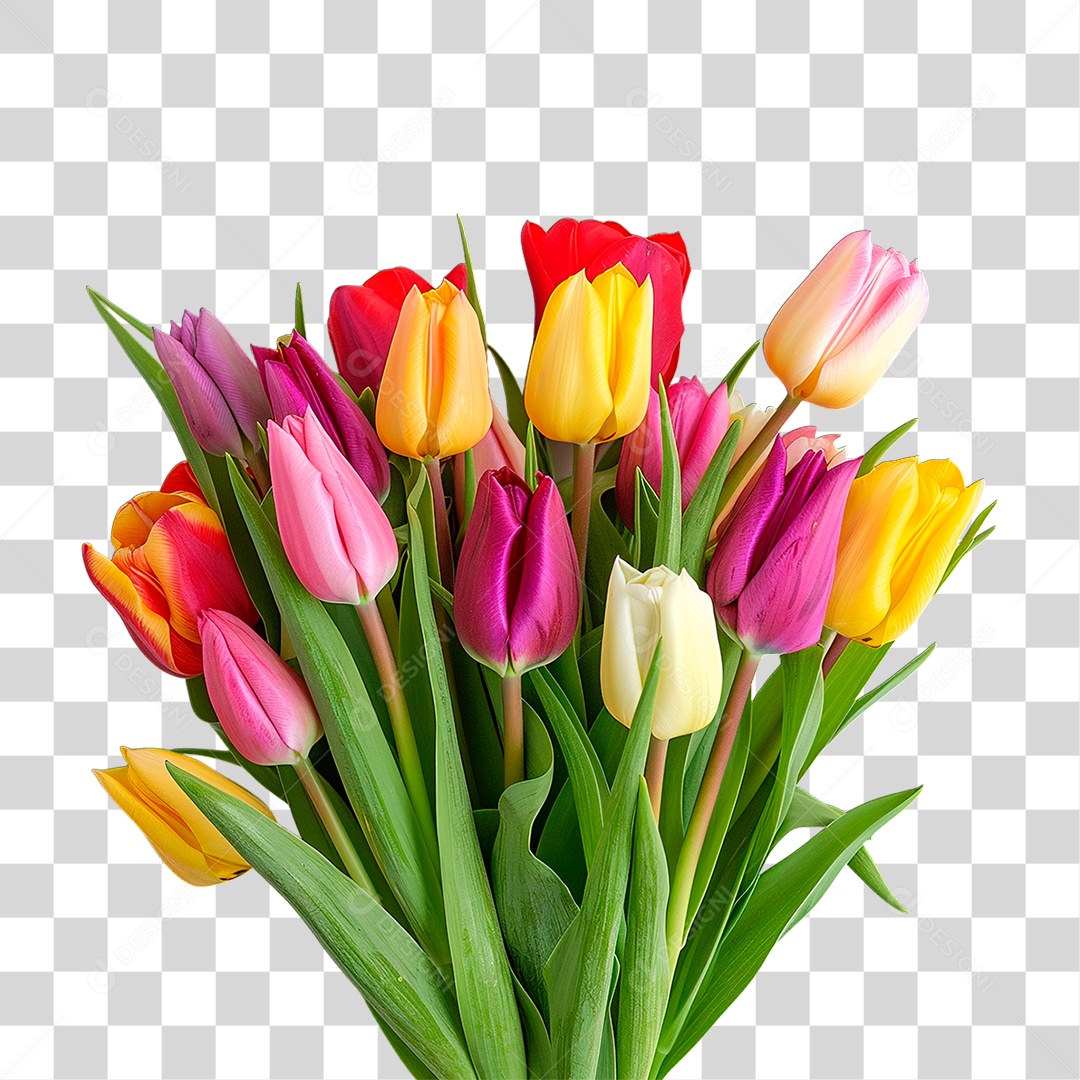 Flores PNG Transparente