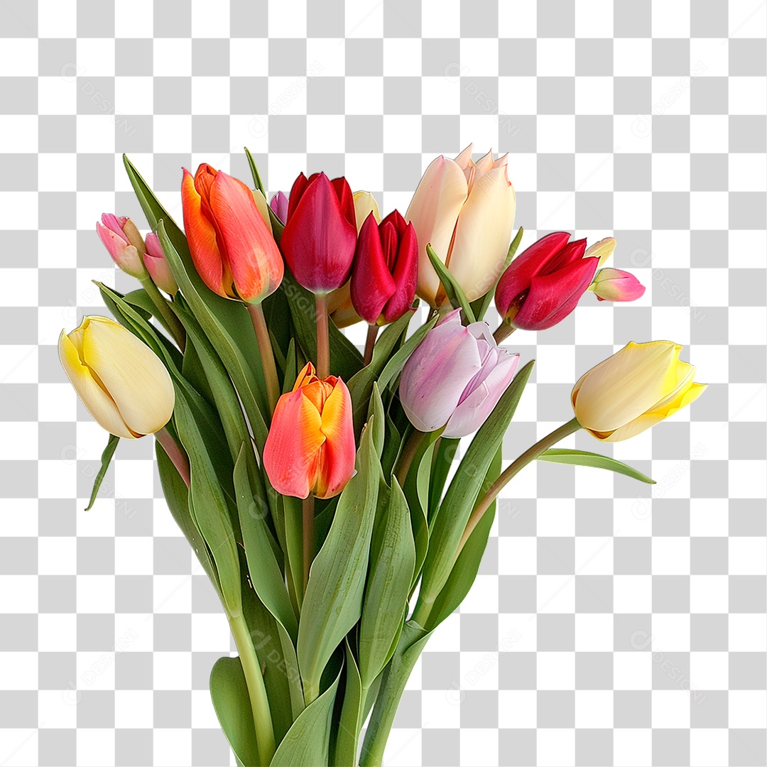 Flores PNG Transparente