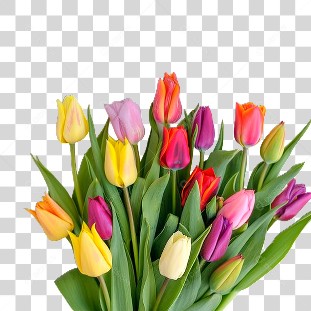 Flores PNG Transparente