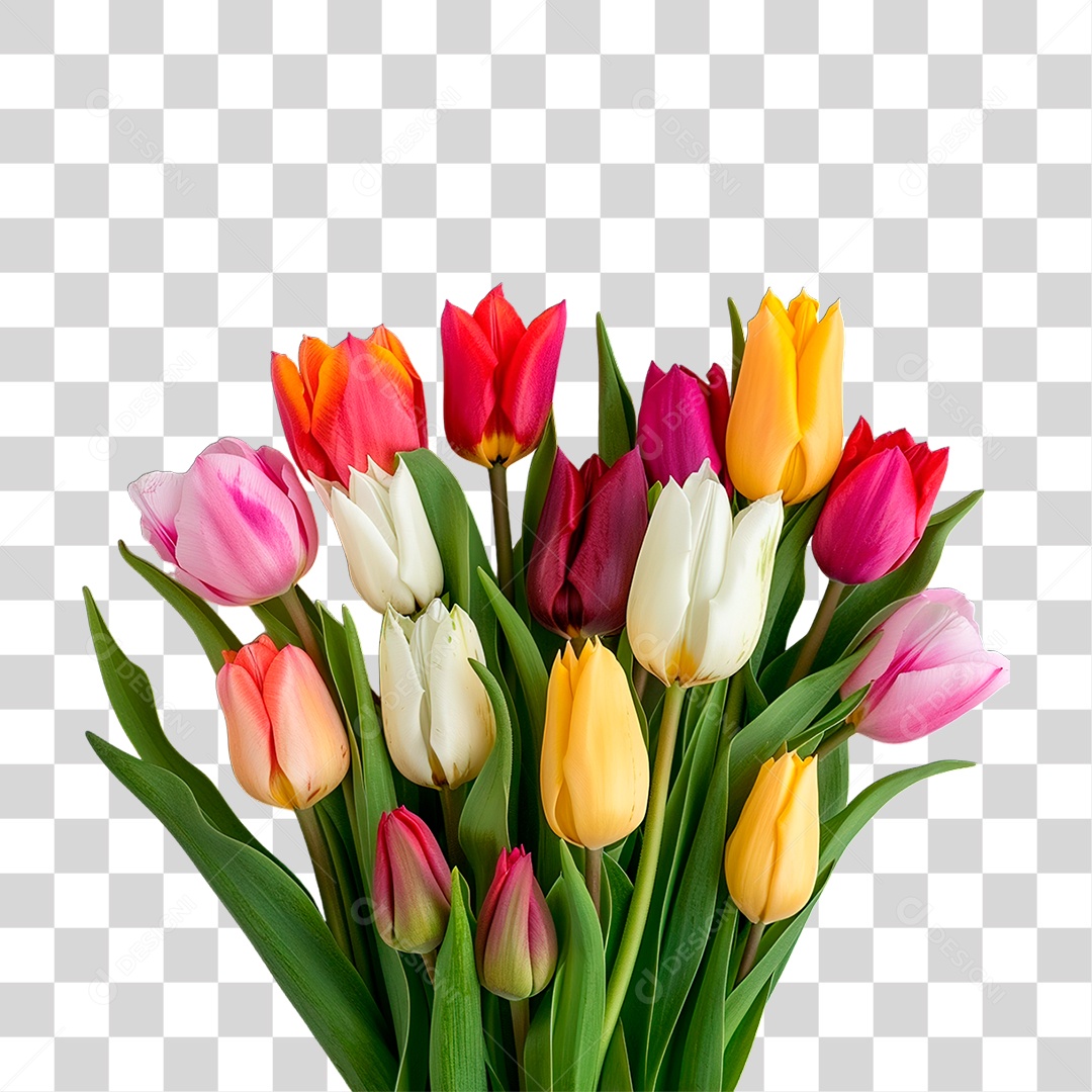 Flores PNG Transparente