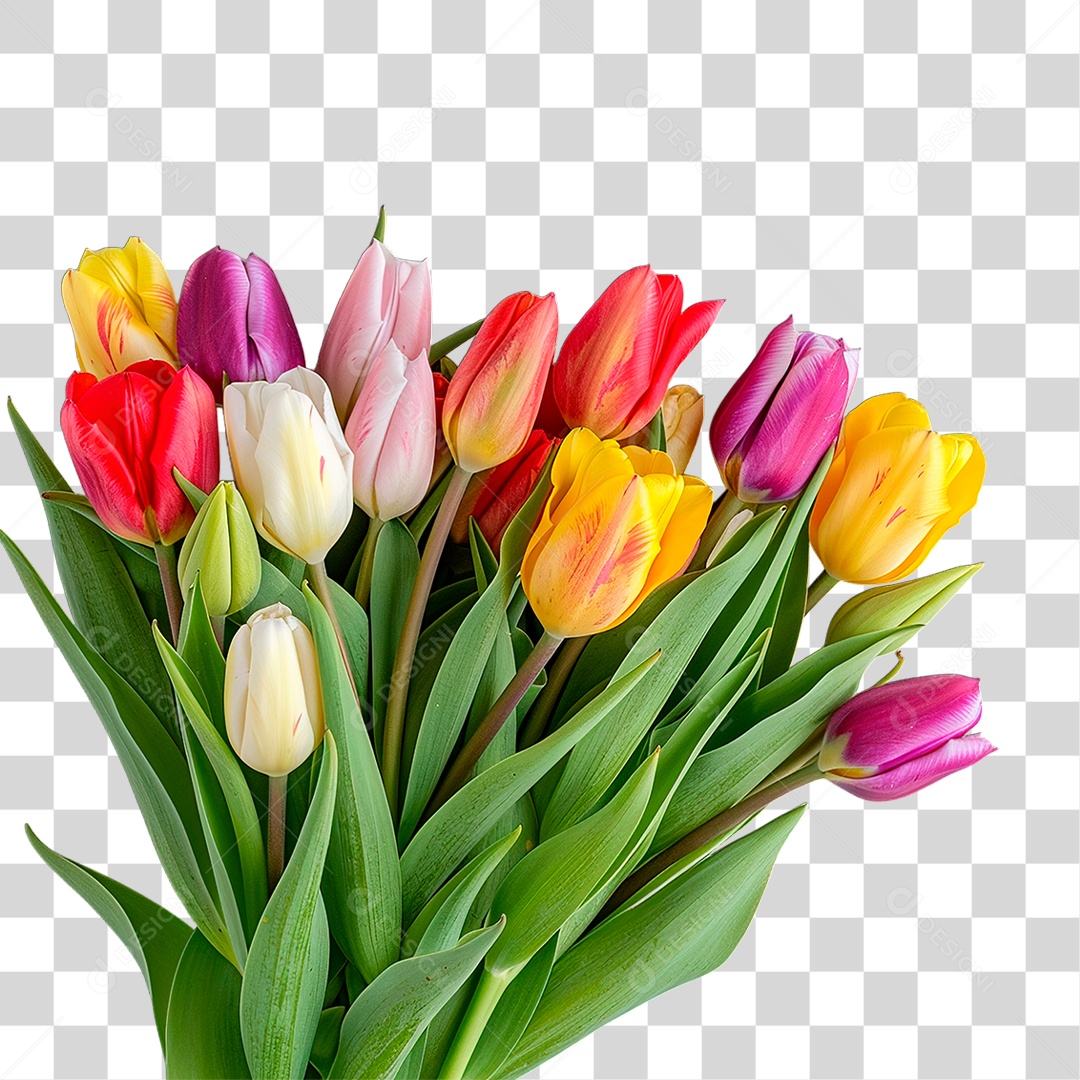 Flores PNG Transparente