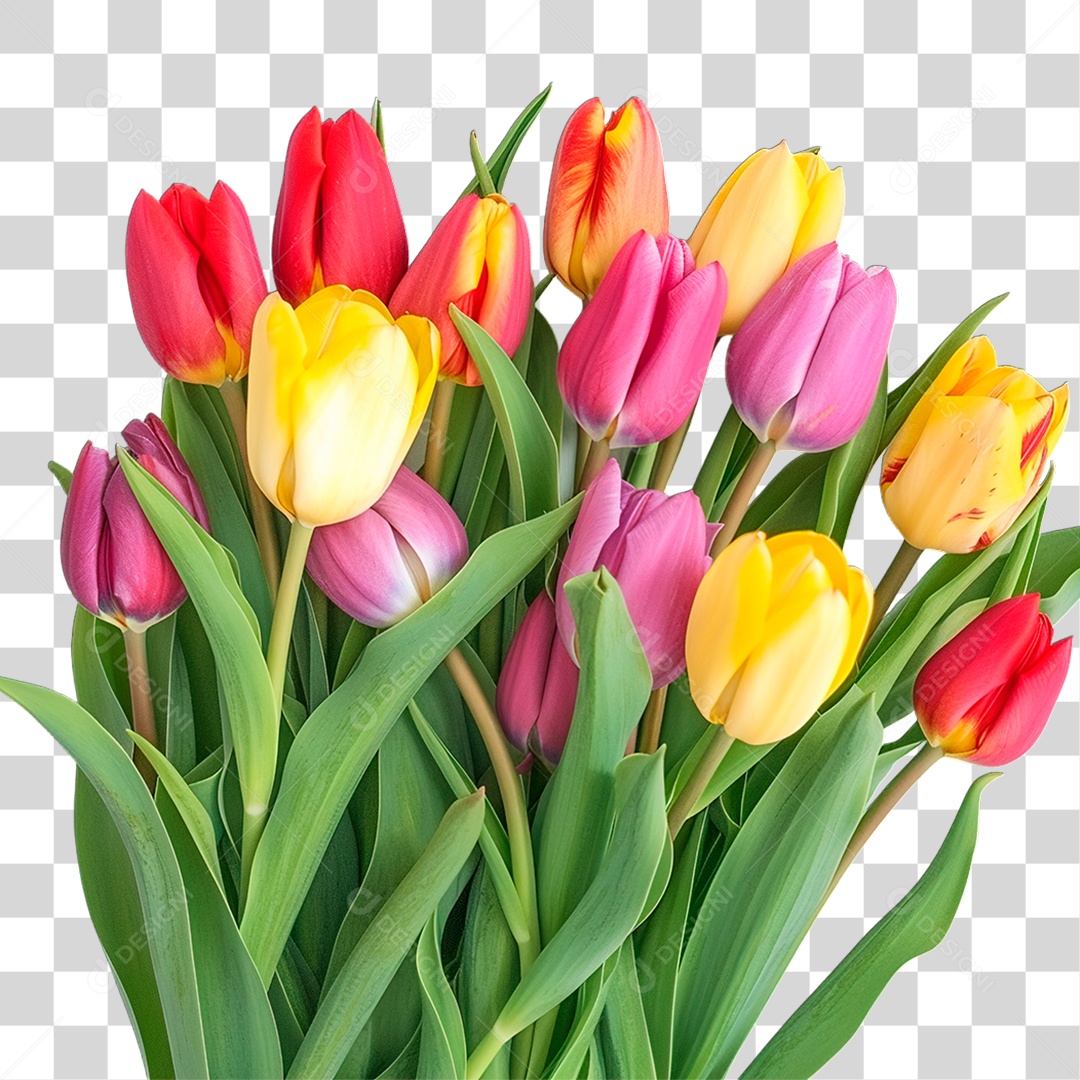 Flores PNG Transparente