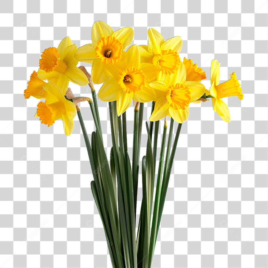 Flores Amarela PNG Transparente