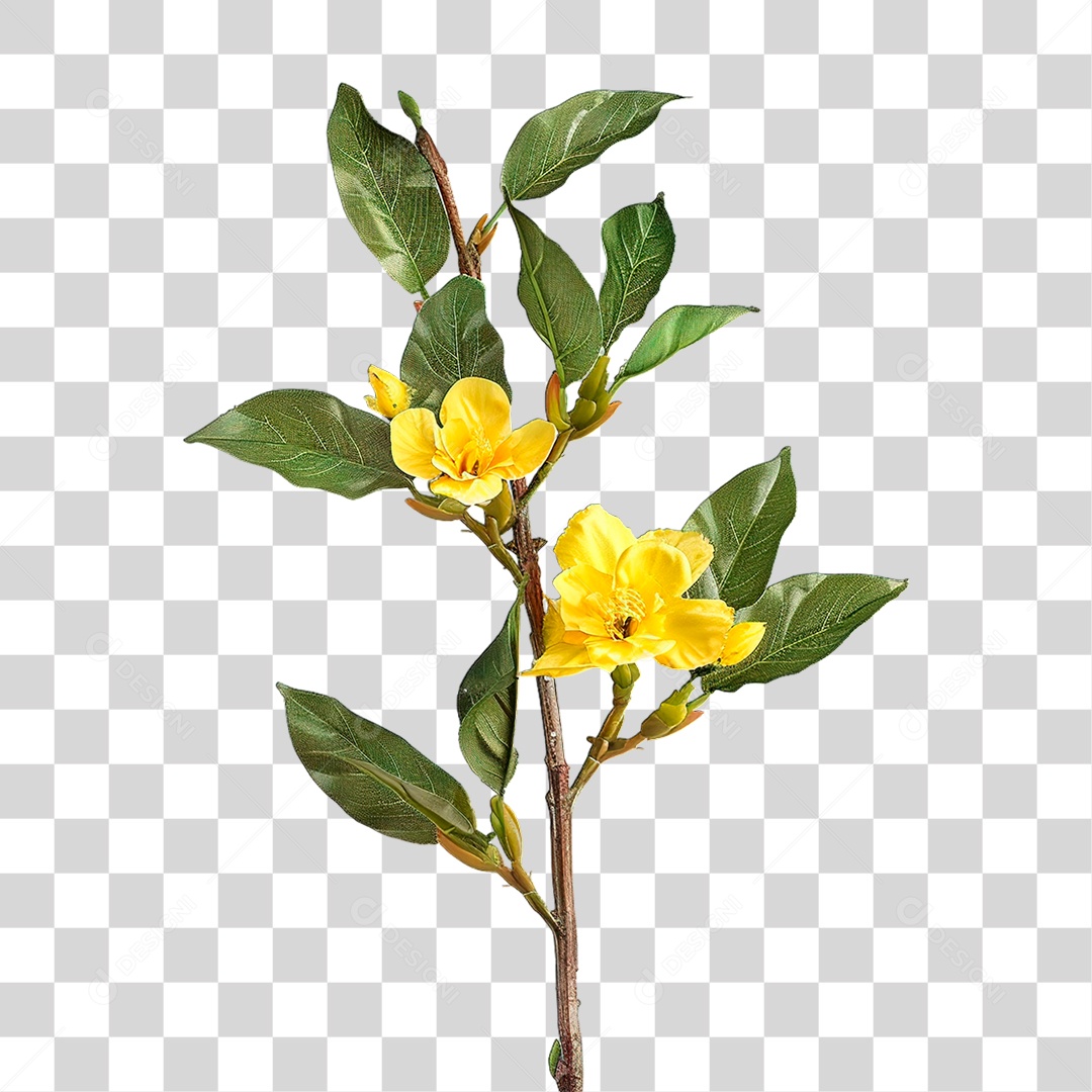 Flor Amarela PNG Transparente