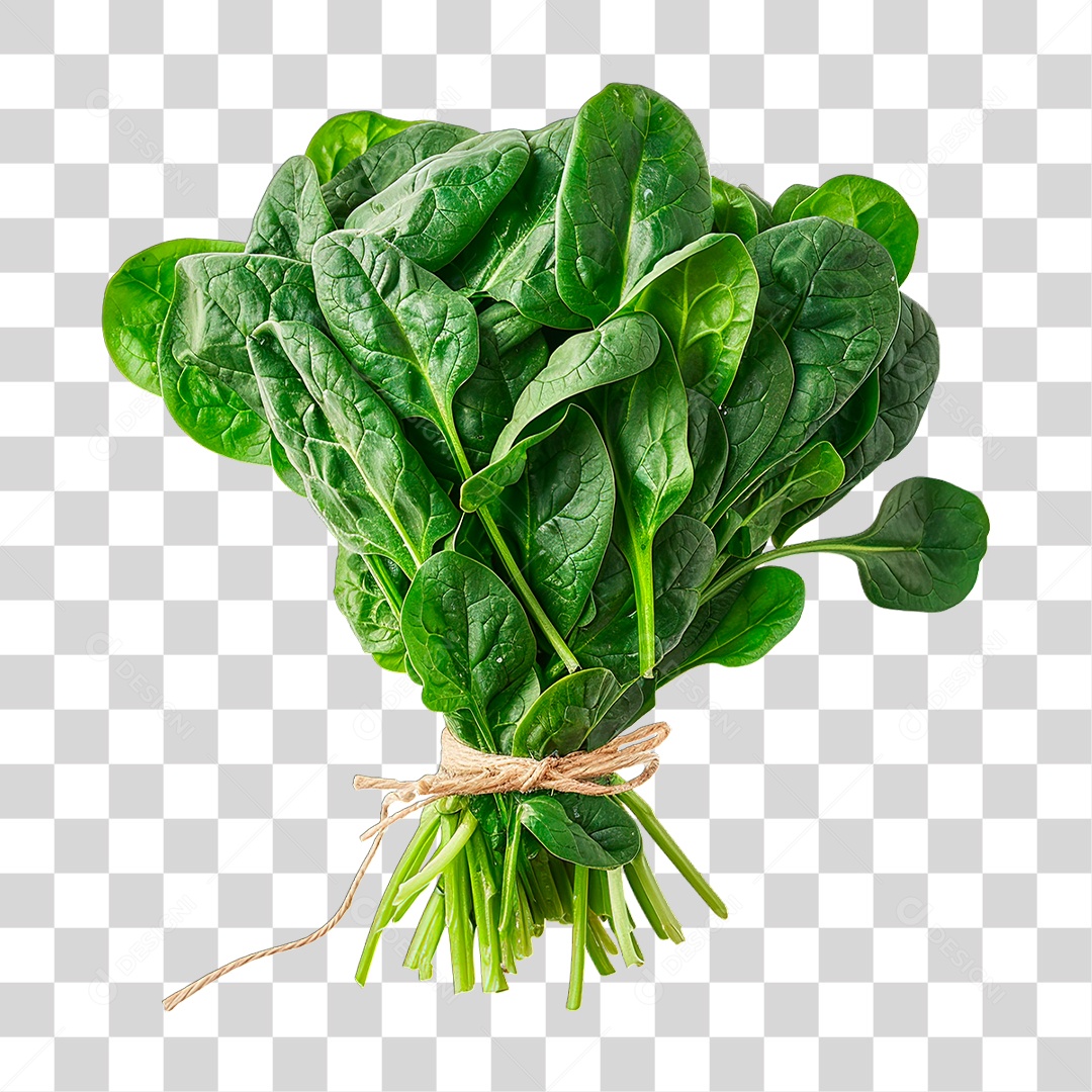 Folha de Espinafre PNG Transparente