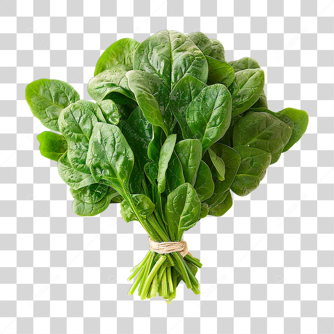 Folha de Espinafre PNG Transparente