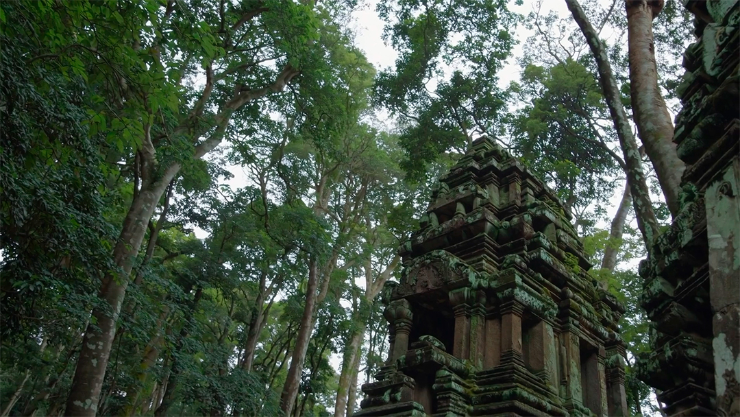 Templo escondido na selva coberto de vinhas – Um antigo templo de pedra, parcialmente coberto pela densa folhagem da selva.