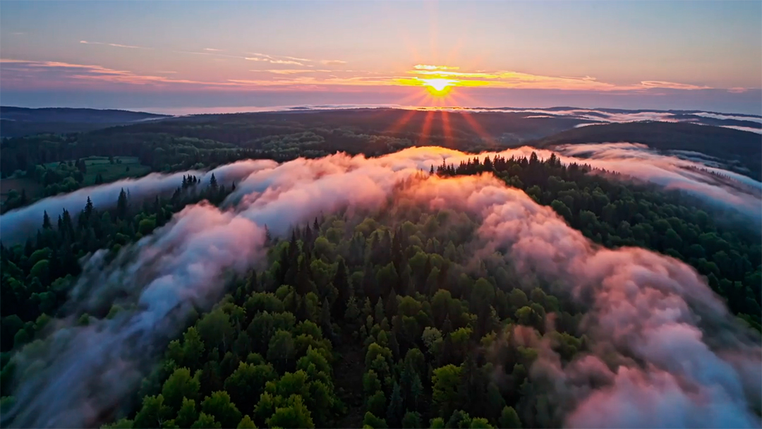 Um nascer do sol sereno sobre um vale enevoado com manchas dispersas de floresta MP4