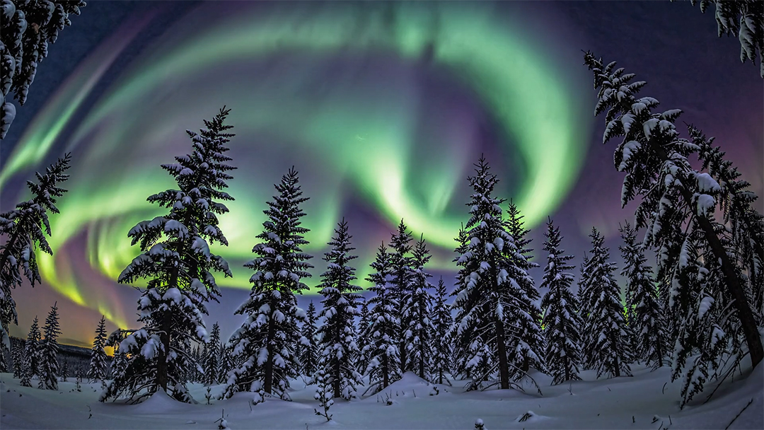 A aurora boreal dançando no céu noturno sobre uma floresta coberta de neve MP4