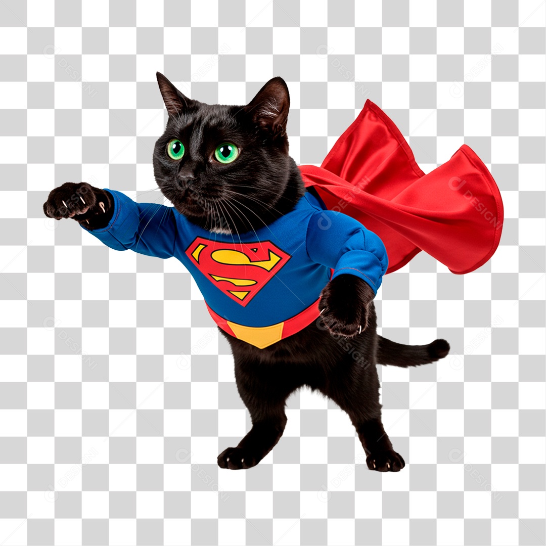 Gato Vestido PNG Transparente