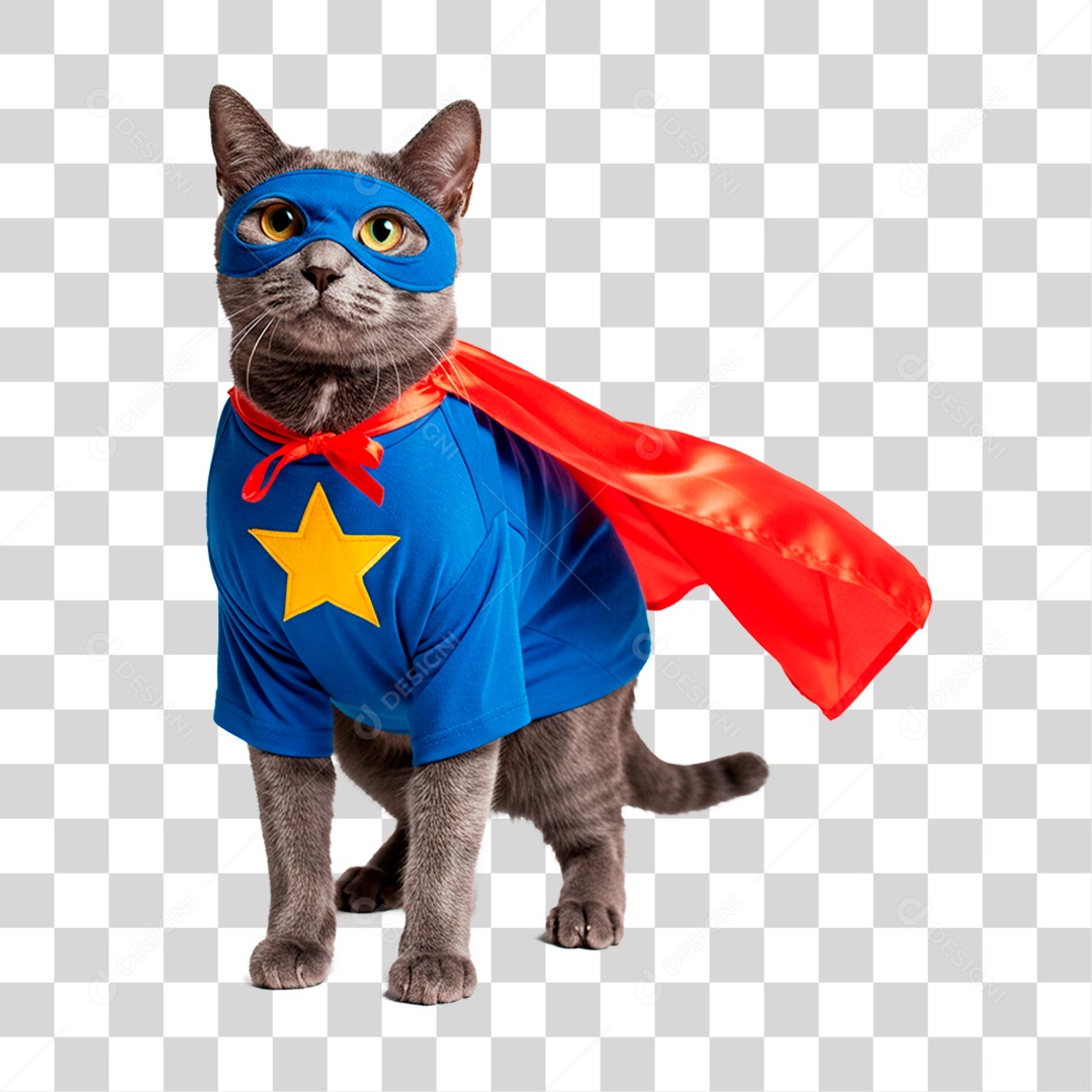 Gato Vestido PNG Transparente