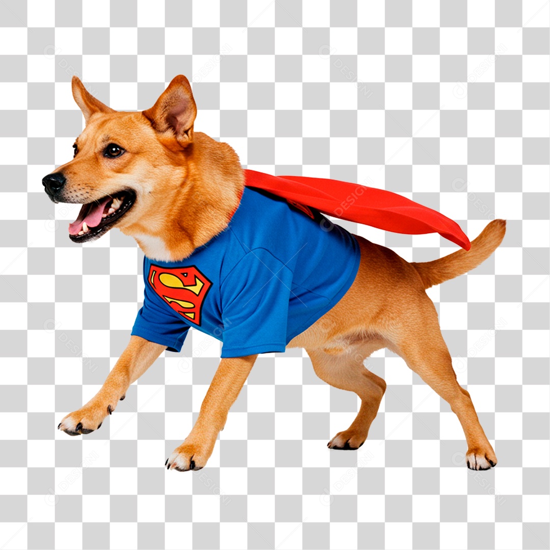 Cachorro com Roupa de Super Herói PNG Transparente