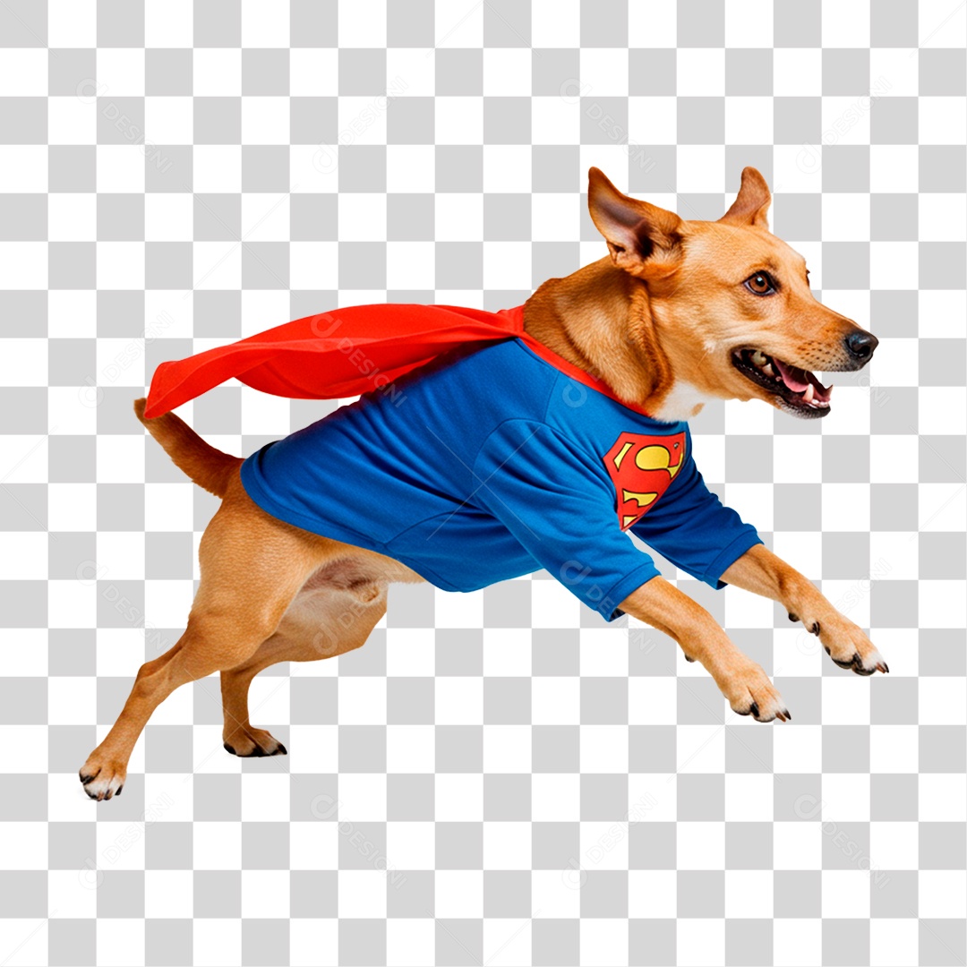 Cachorro com Roupa de Super Herói PNG Transparente