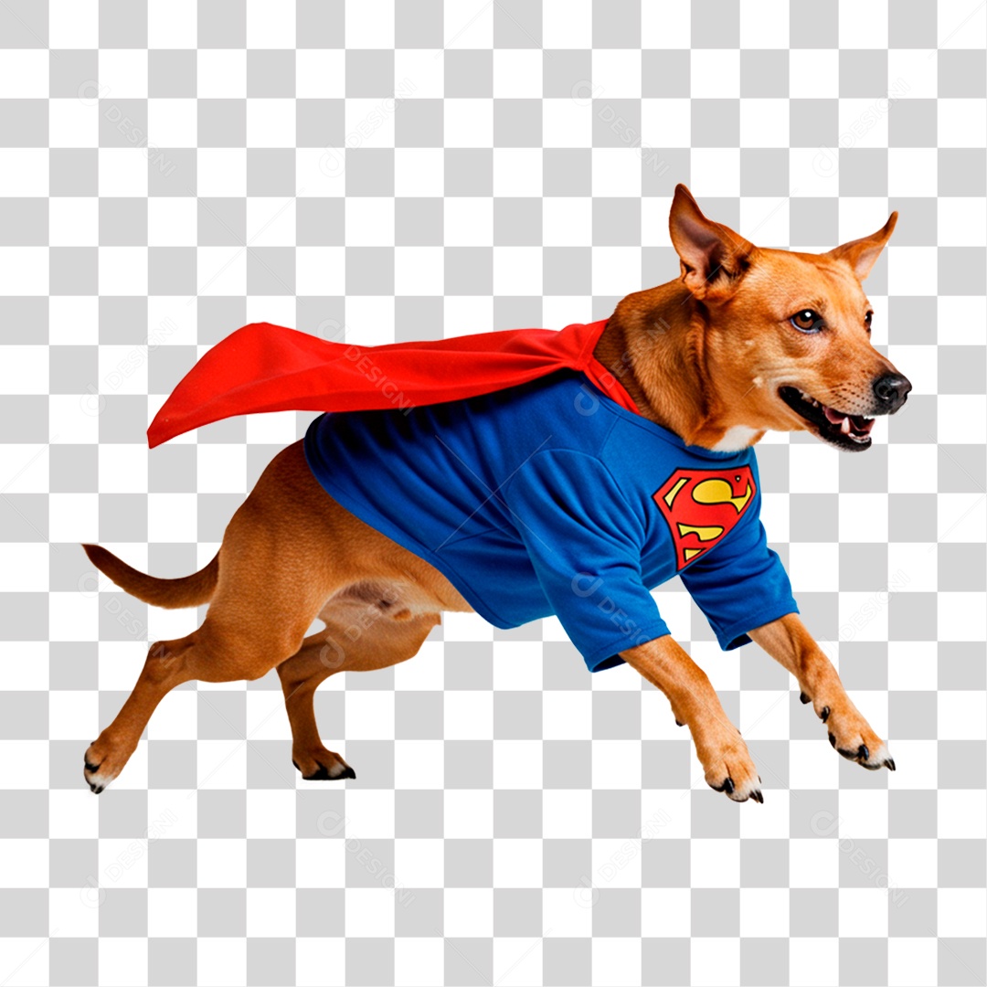 Cachorro com Roupa de Super Herói PNG Transparente