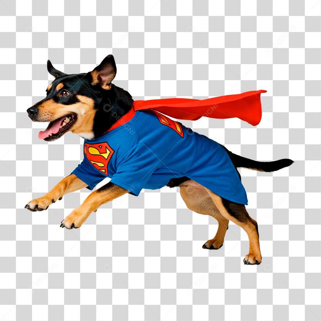 Cachorro com Roupa de Super Herói PNG Transparente