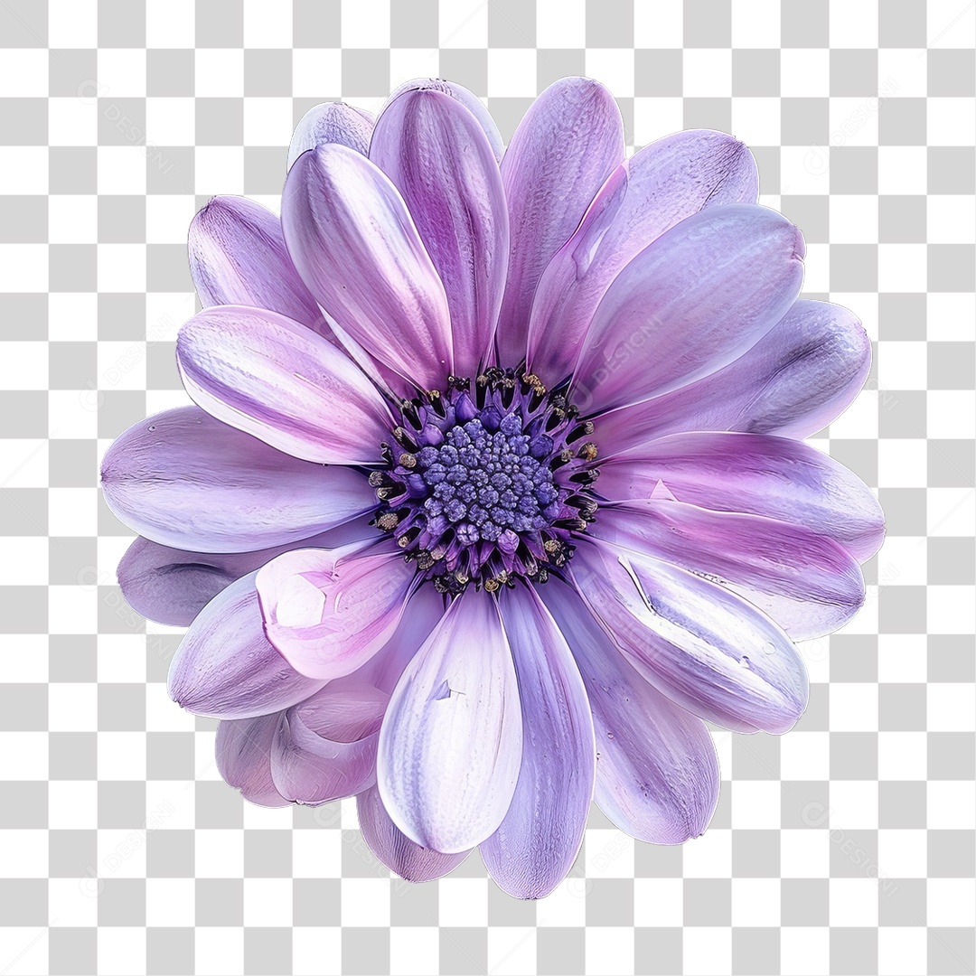 Flores Março Lilás PNG Transparente