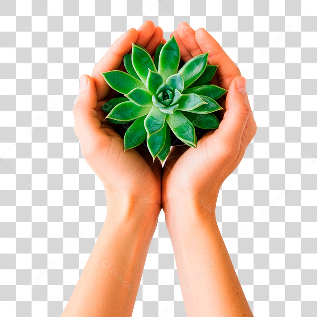 Mão Segurando Planta PNG Transparente