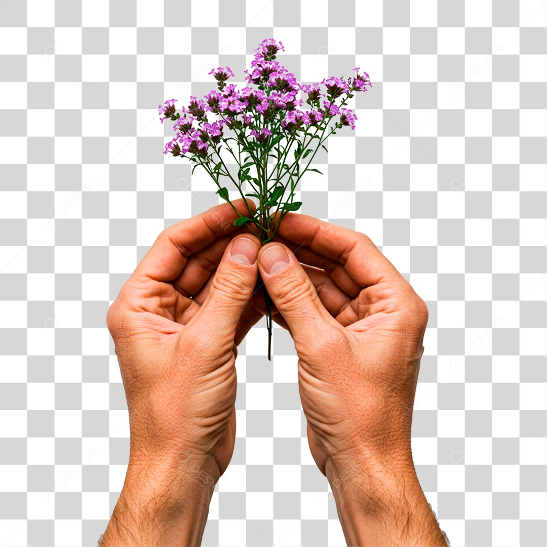 Mão Segurando Planta PNG Transparente