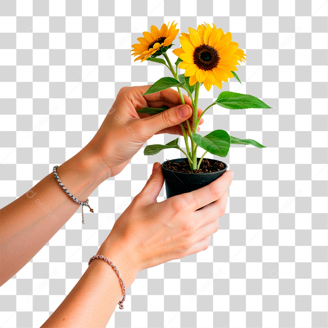 Mão Segurando Planta PNG Transparente