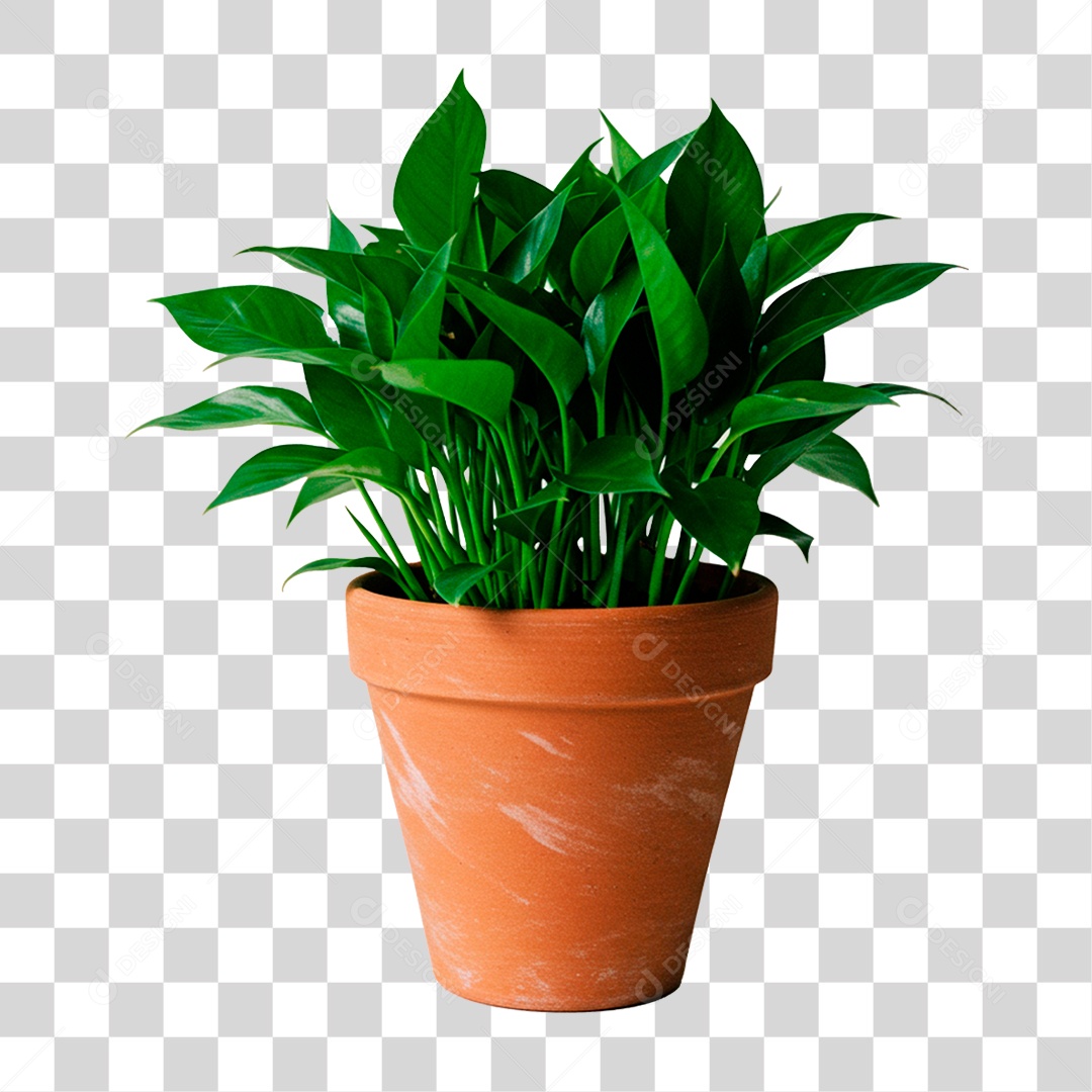 Planta no Vazo PNG Transparente