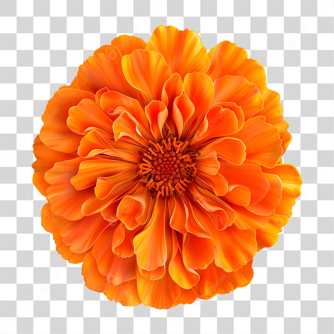 Flor PNG Transparente