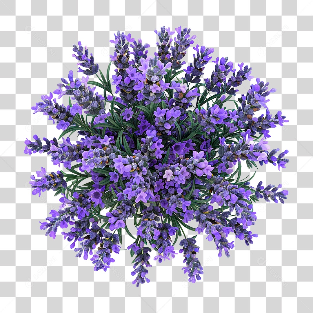 Planta PNG Transparente