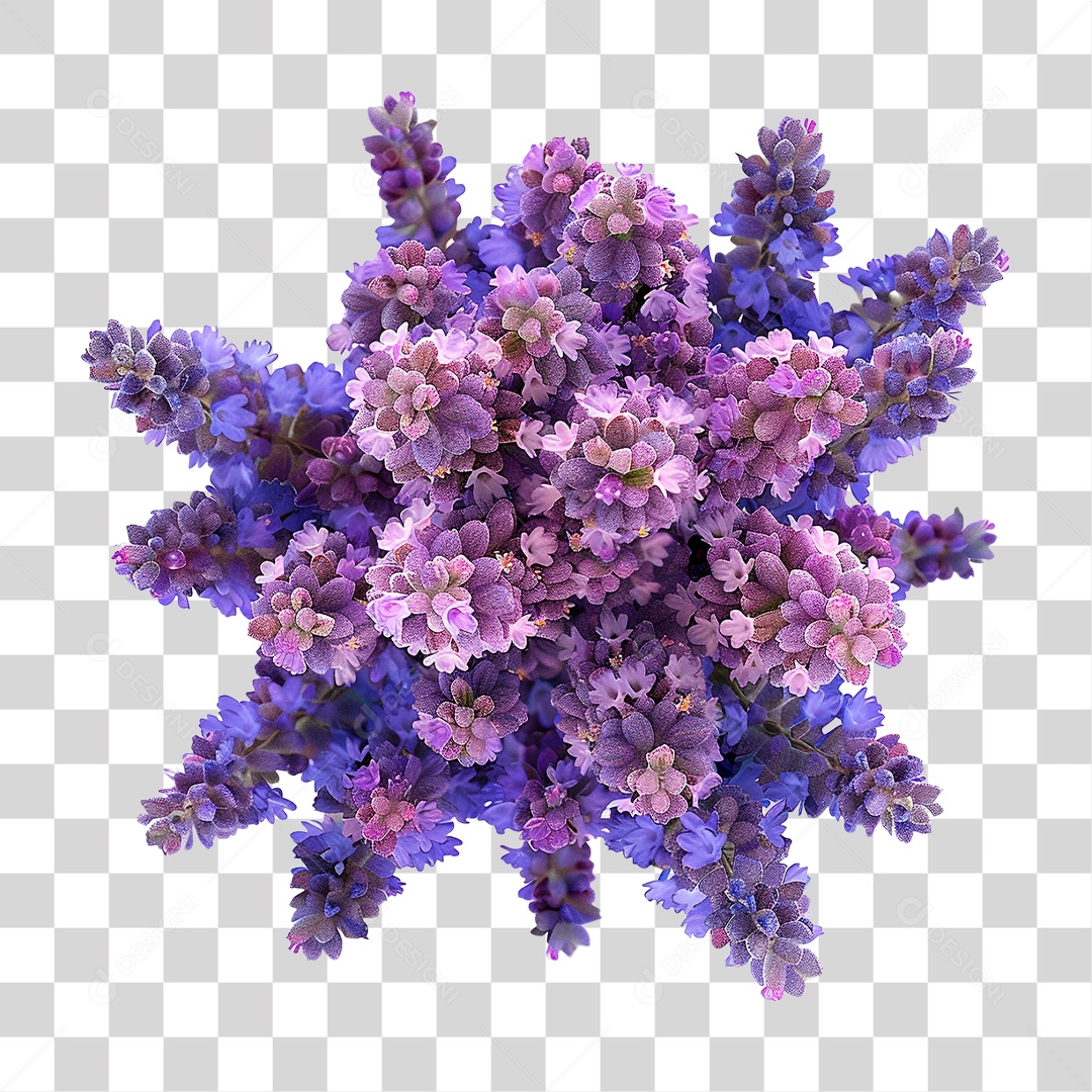 Flor PNG Transparente