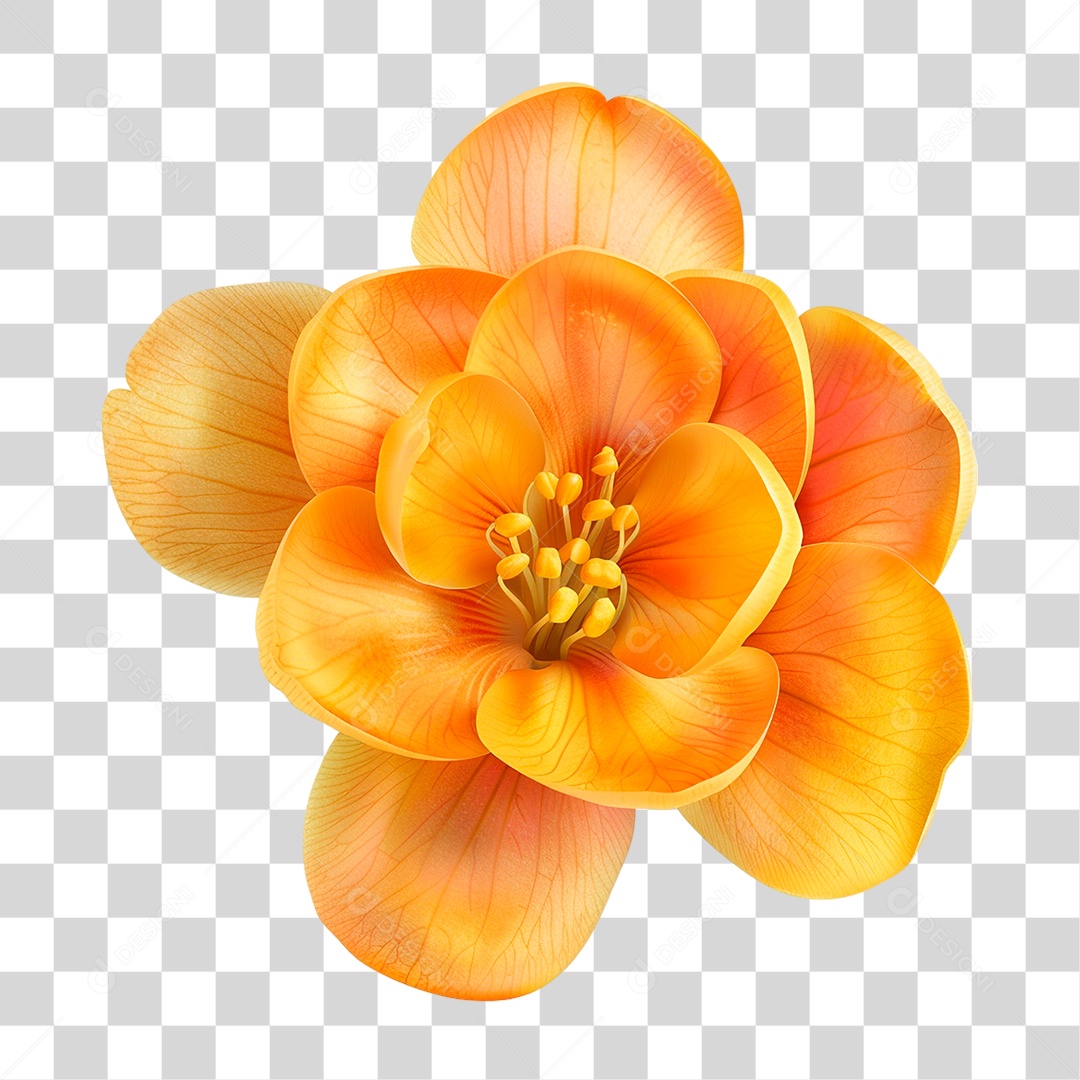 Flor Amarela PNG Transparente