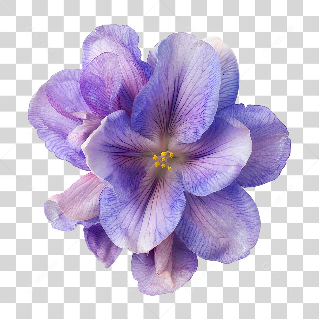 Flor Roxa PNG Transparente