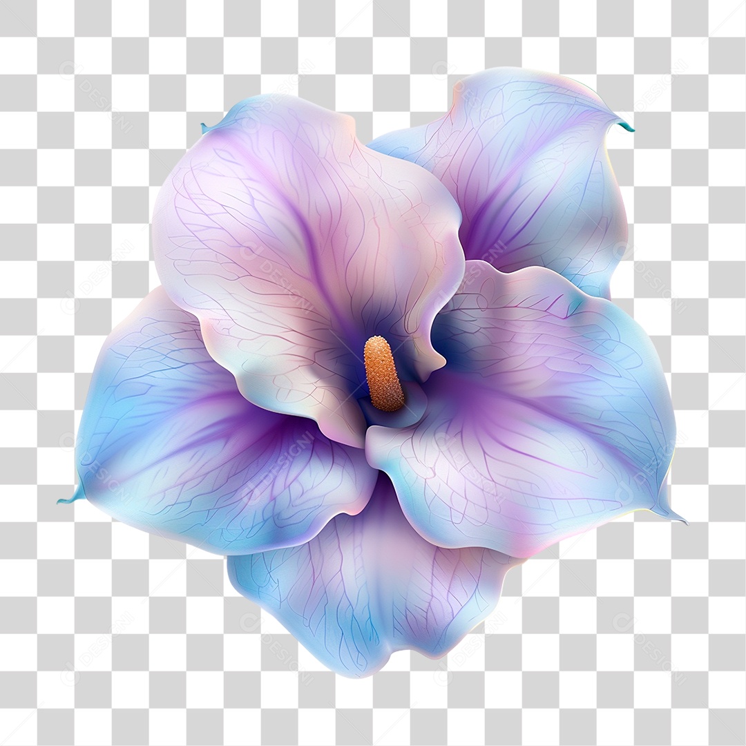 Flor PNG Transparente