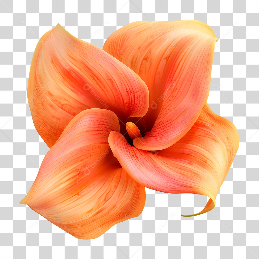 Flor PNG Transparente