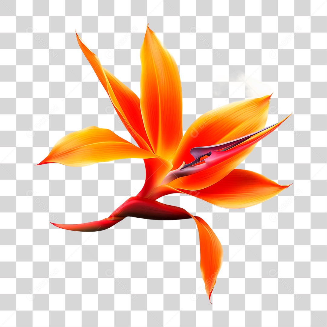 Flor PNG Transparente