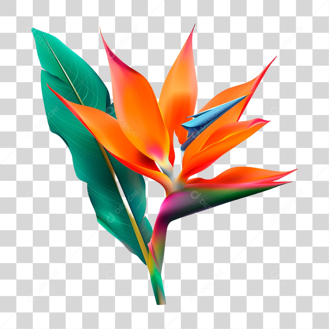 Flor PNG Transparente