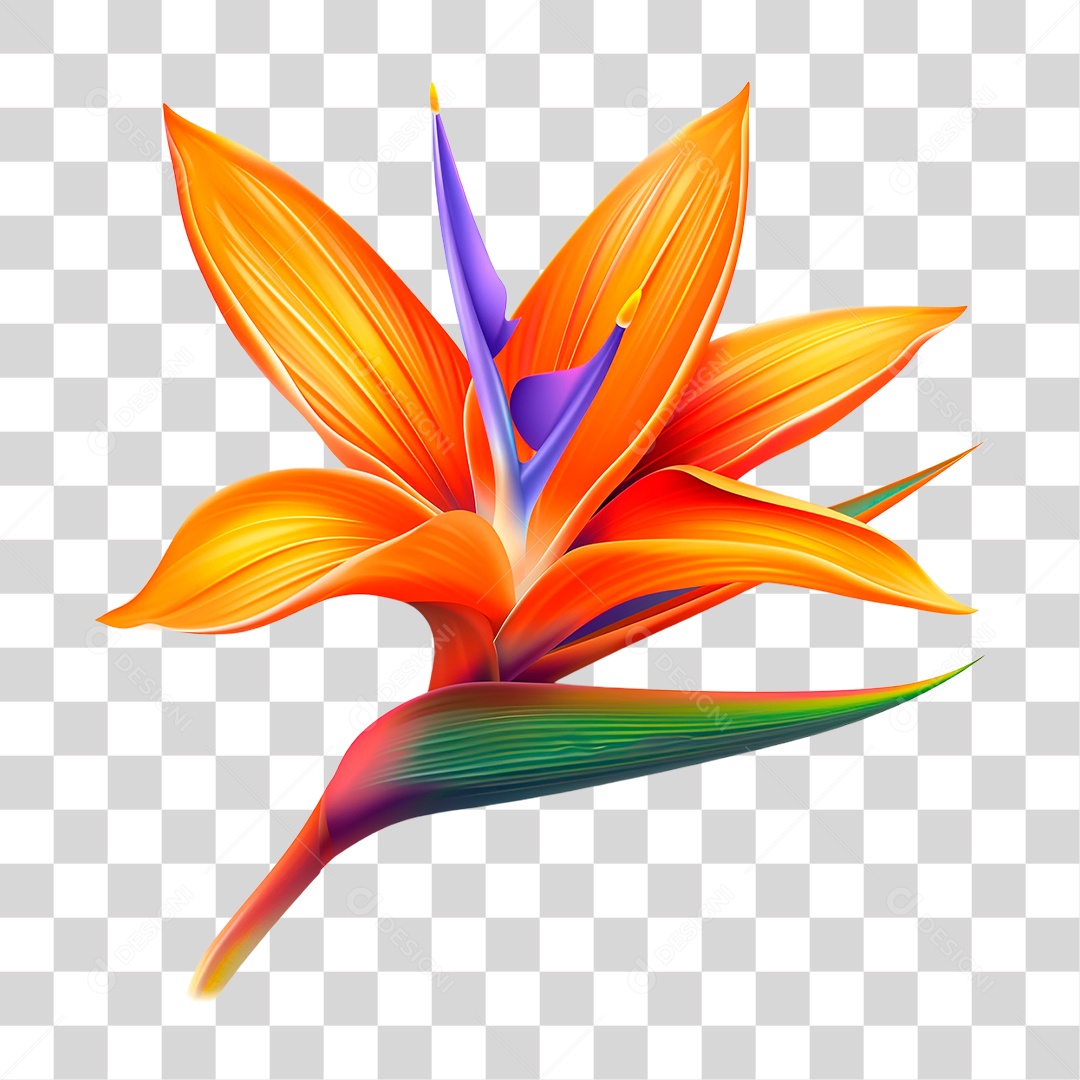 Flor PNG Transparente